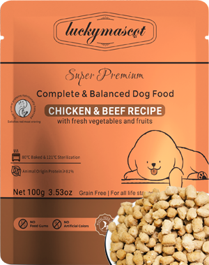 BEEF Recipe DOG Food With Fresh Vegetables & Fruits