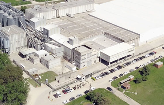 Soft Fresh Dog Food Production Process Made in USA