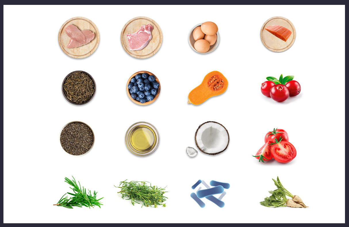 Lucky Mascot fresh pet food products